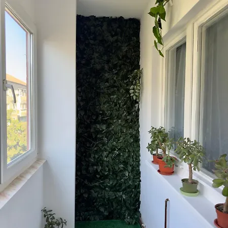 The Grand Palette - Luxury تيميشورا