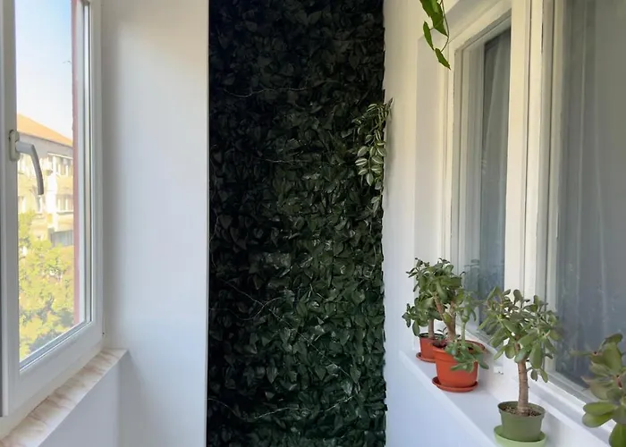 The Grand Palette - Luxury Temešvár